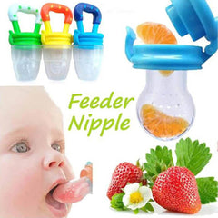 Baby Fruit Pacifier Feeder