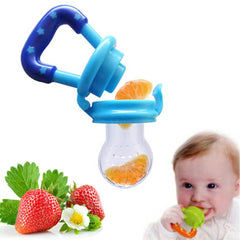 Baby Fruit Pacifier Feeder